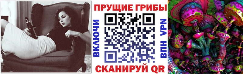 купить   Спас-Клепики  Псилоцибиновые грибы Psilocybe 